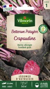 Betterave Potagère Crapaudine - Légumes d'Autrefois